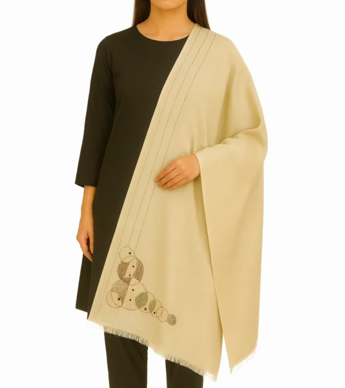 Cream Pashmina Shawl - Artistic Circle Embroidery - Unique and Elegant